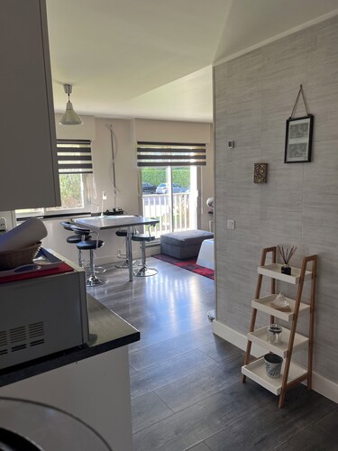 Zenith/Stadium/Expo Park/Sports Palace, Apt 2 rooms 4pers private parking