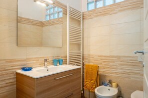 Shower, hair dryer, bidet, towels