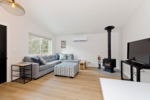 Smart TV, fireplace, books