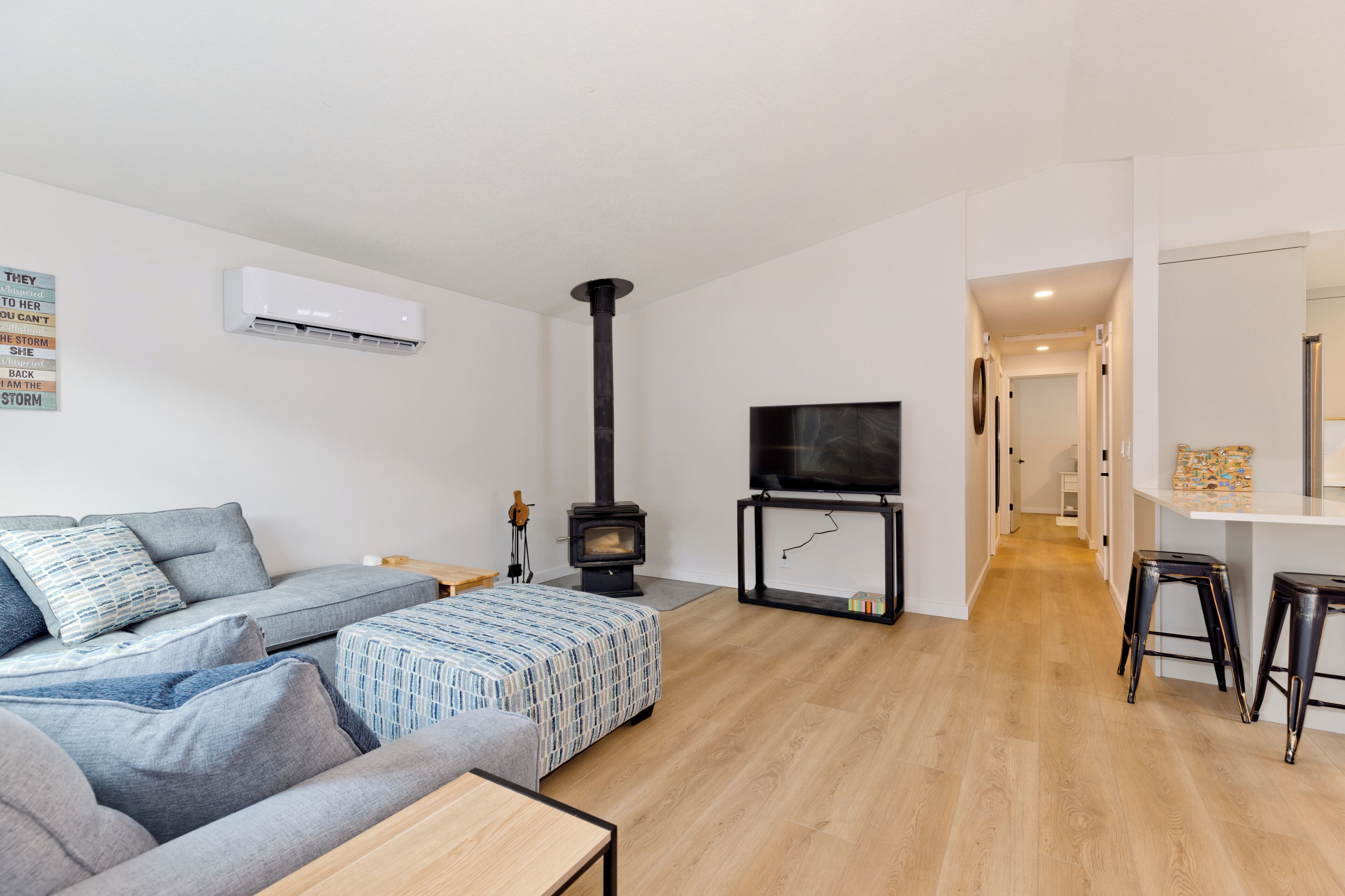 Smart TV, fireplace, books