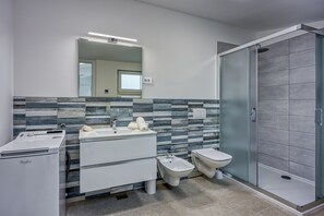 Shower, hair dryer, bidet, towels