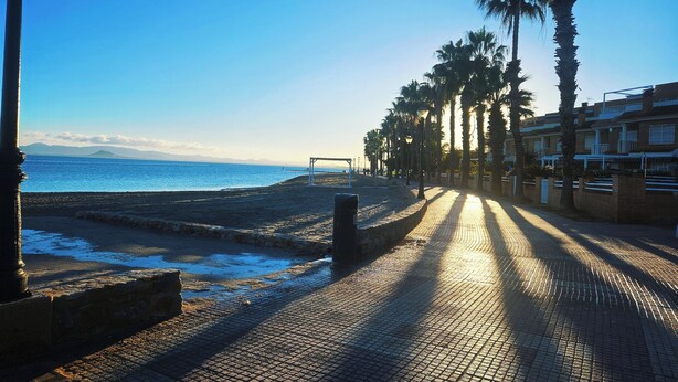 Un sendero pavimentado a lo largo de la costa, con palmeras, cielo despejado y vista al mar.