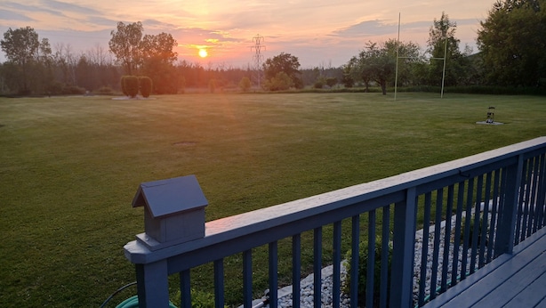 A grassy outdoor area with a wooden deck, a small shed, and a green hose coiled on the ground.