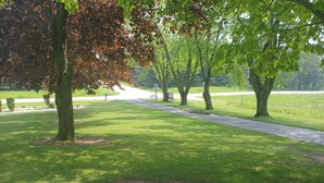 A park pathway lined with trees and a grassy area.