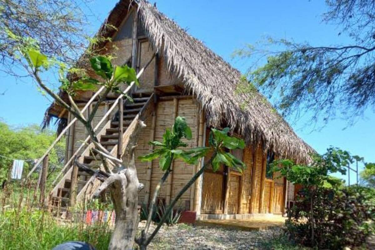 Uma casa de madeira rústica com telhado de palha, rodeada por vegetação exuberante e um céu azul límpido.