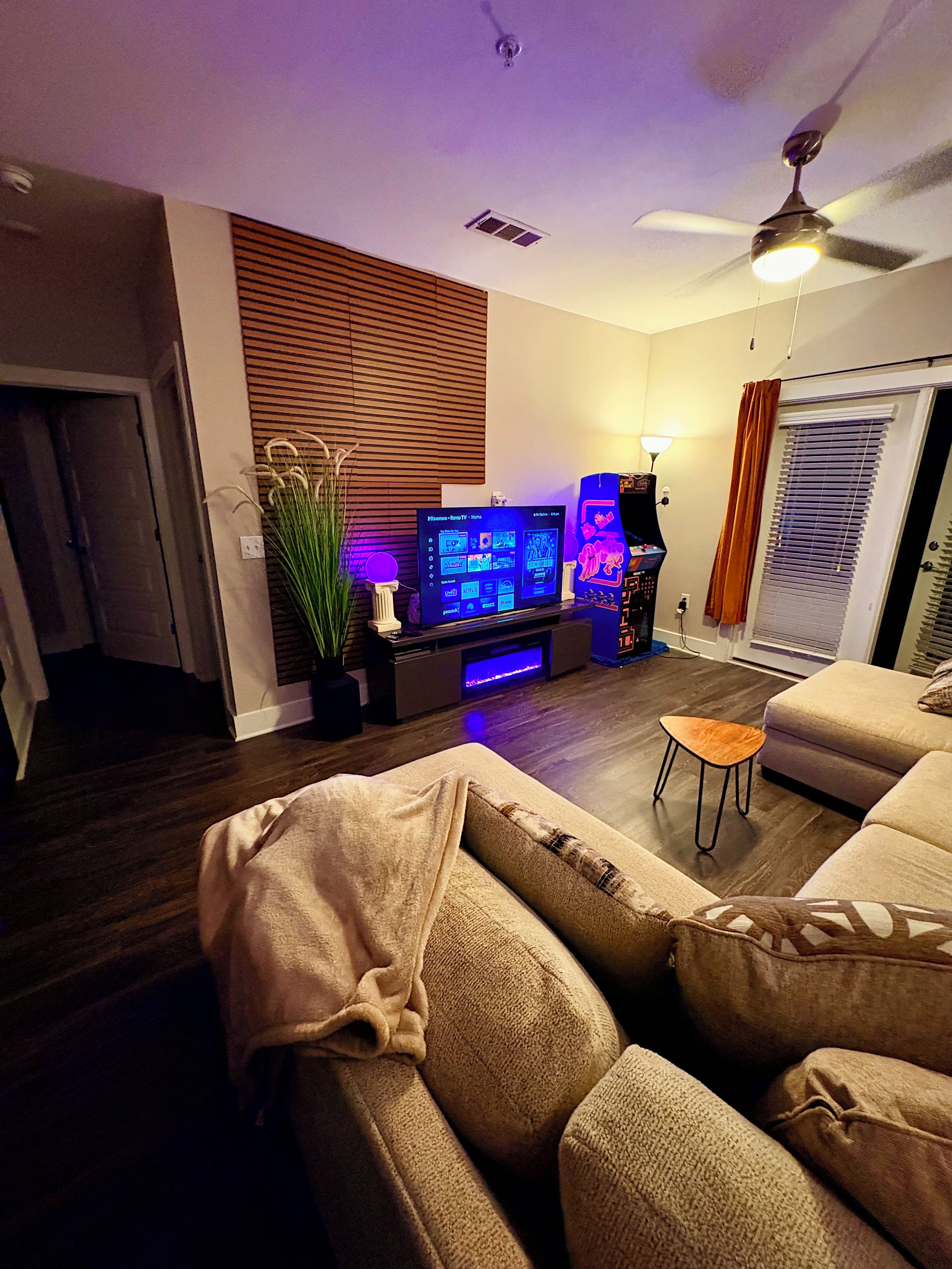 A living room with a flat-screen TV, a ceiling fan, and a potted plant.