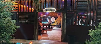 THE JUNGLE Vacation Home