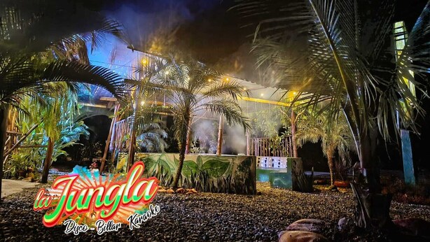 Un lugar con escenario, palmeras y ambiente tropical.