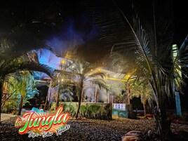 Un lugar con escenario, palmeras y ambiente tropical.