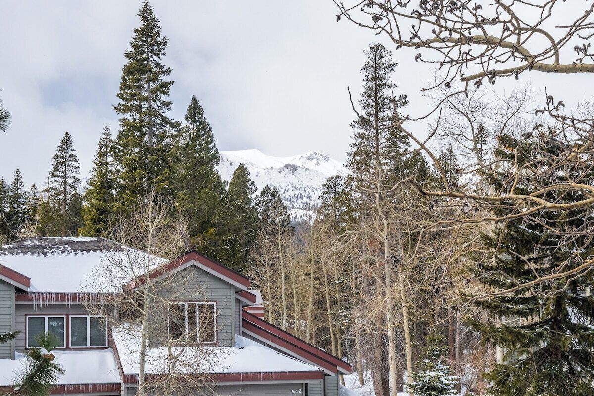 A house with a snow-covered roof, surrounded by tall evergreen trees and a mountain in the background.