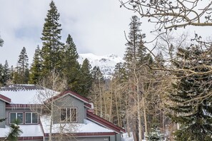 A house with a snow-covered roof, surrounded by tall evergreen trees and a mountain in the background.