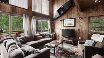 TV, fireplace, books