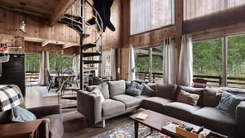 TV, fireplace, books