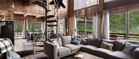 TV, fireplace, books