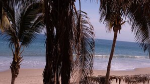 Ein Strand mit Palmen, einem Holzzaun und dem Meer im Hintergrund.