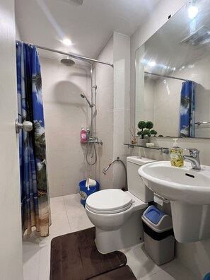 Shower, hair dryer, bidet, towels