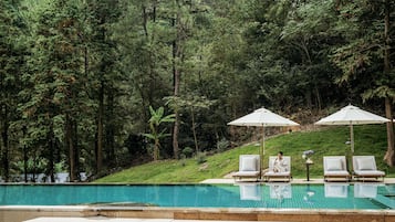 A swimming pool with lounge chairs and umbrellas, surrounded by a forested area.