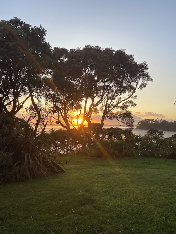 A sunset view with trees and a grassy area.