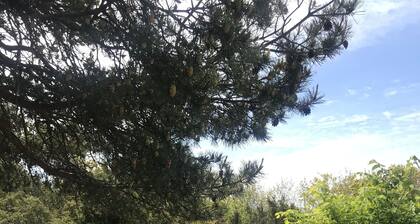 Cozy 11 beds Cabin Retreat in Hvaler, Norway