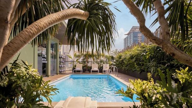 Una piscina con sillones de descanso, rodeada de follaje y palmeras, con un edificio moderno al fondo.