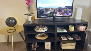 A television on a black stand with a globe, a potted plant, and decorative items on a shelf.