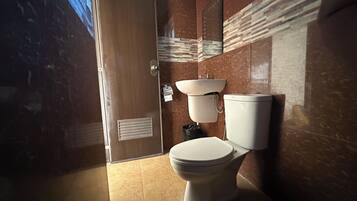 Shower, bidet, towels, soap