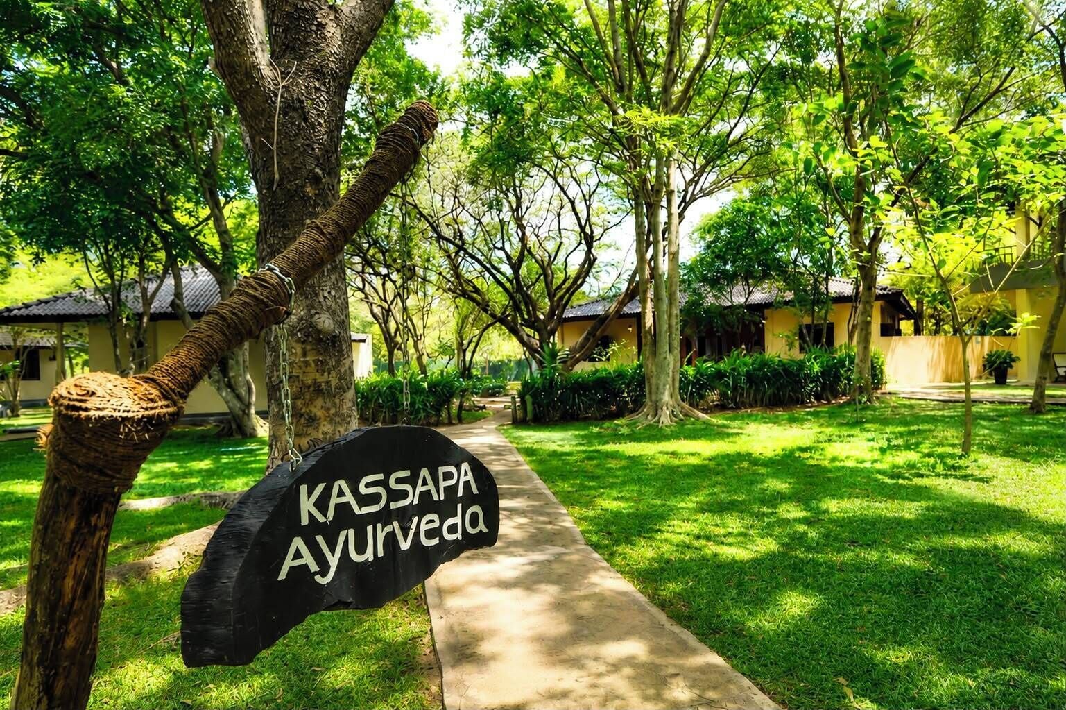 A sign for Kassapa Ayurveda, surrounded by lush greenery and a pathway.