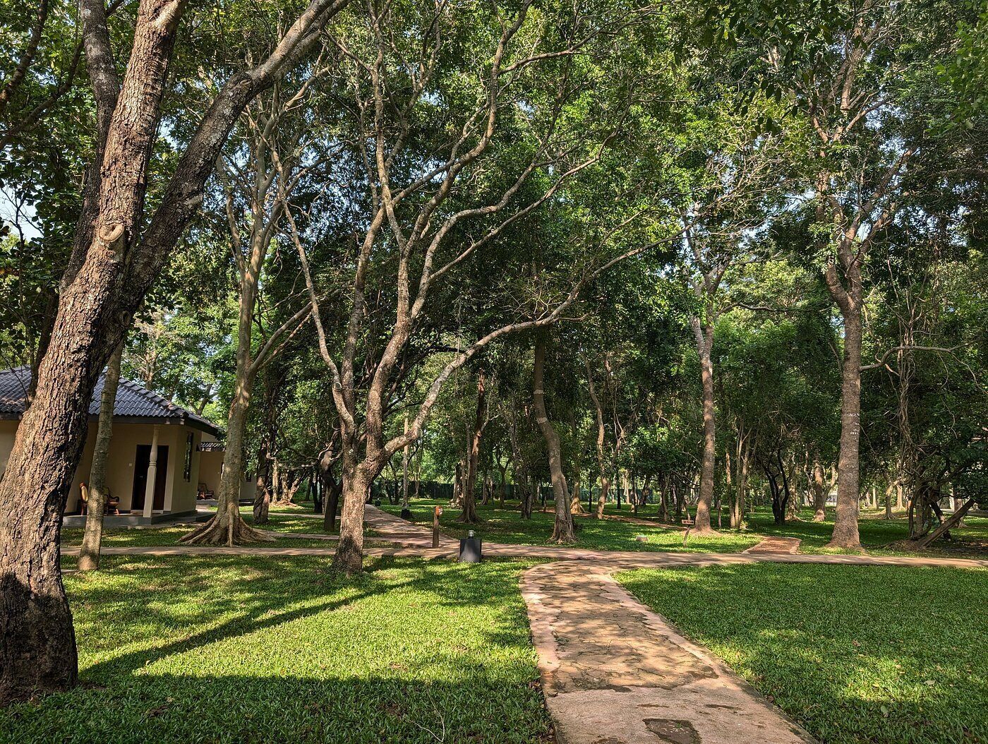 A pathway through a park with trees and a building in the background.