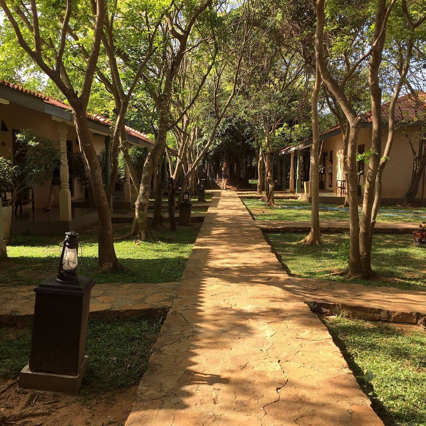 A pathway lined with trees and buildings, suggesting a resort or hotel setting.