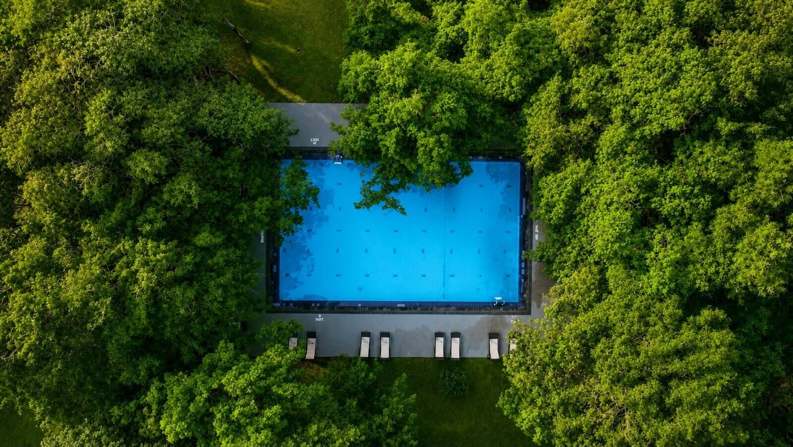 An aerial view of a rectangular swimming pool surrounded by dense green foliage.