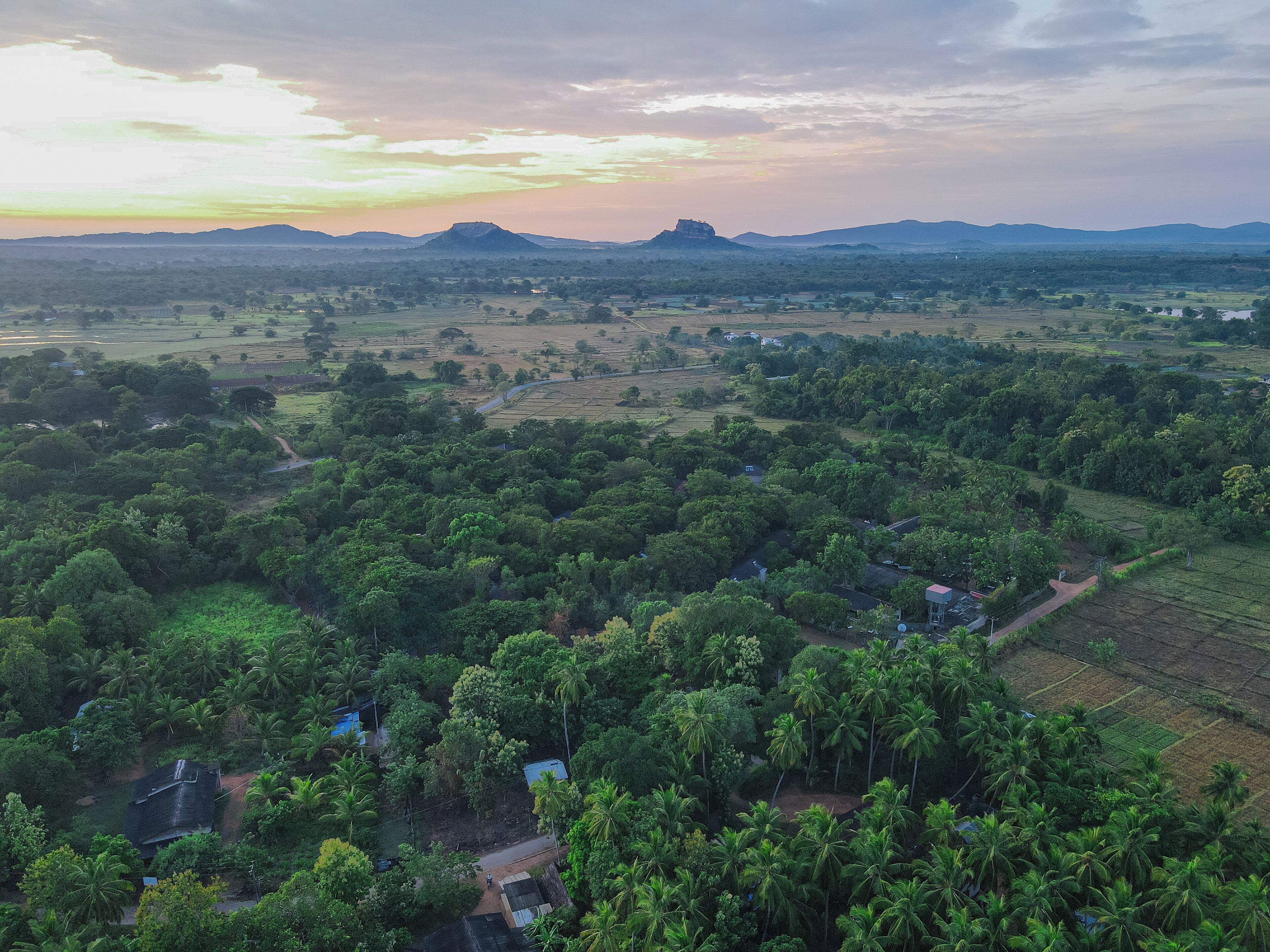 A rural landscape with scattered houses amidst dense greenery and fields.