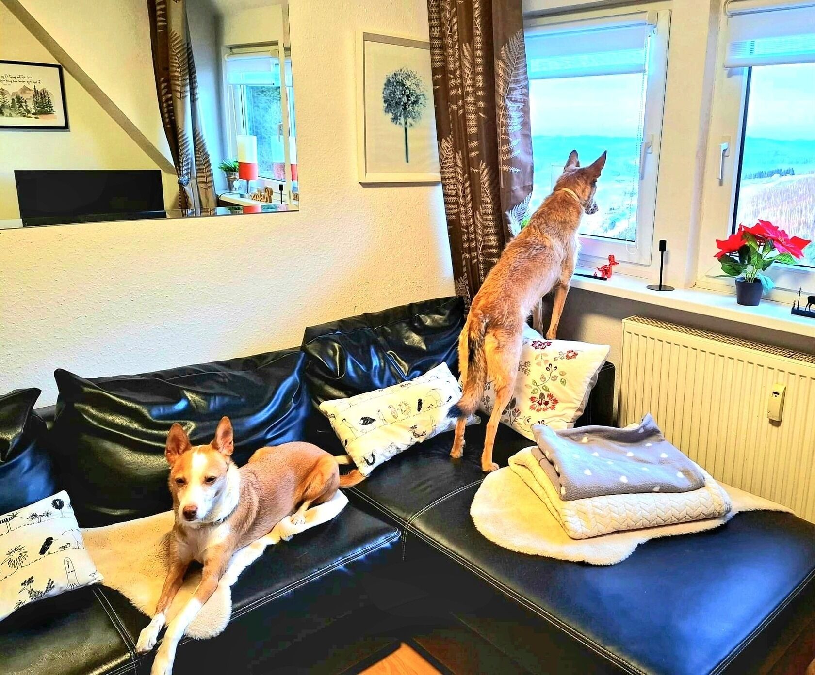 Ferienwohnung/app. Für 3 Gäste Mit 55m² In Bestwig (273174) - Bestwig