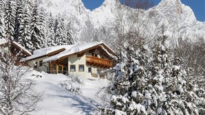 En byggnad i chalet-stil med ett sluttande tak, träfasad och stora fönster, omgiven av snötäckta träd och berg.
