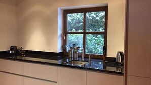 A kitchen with a large window, stainless steel appliances, and a black countertop. - Country House Goldegg near Ski Slopes (Goldegg - Weng)