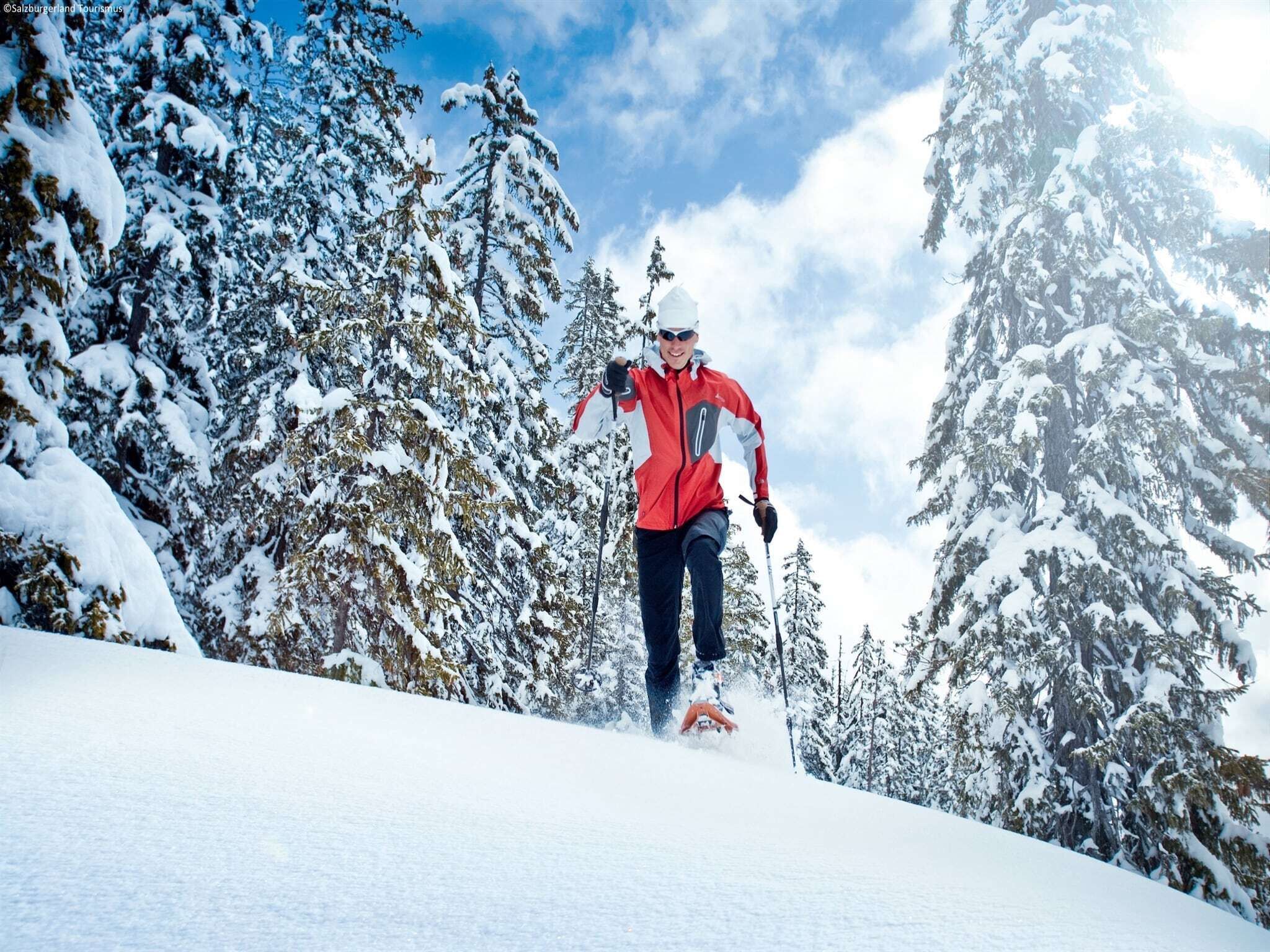 A person skiing on a snowy slope surrounded by snow-covered trees.