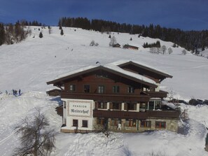Holiday Home Exterior [winter] - Apartment near the Maria Alm ski area (Maria Alm)