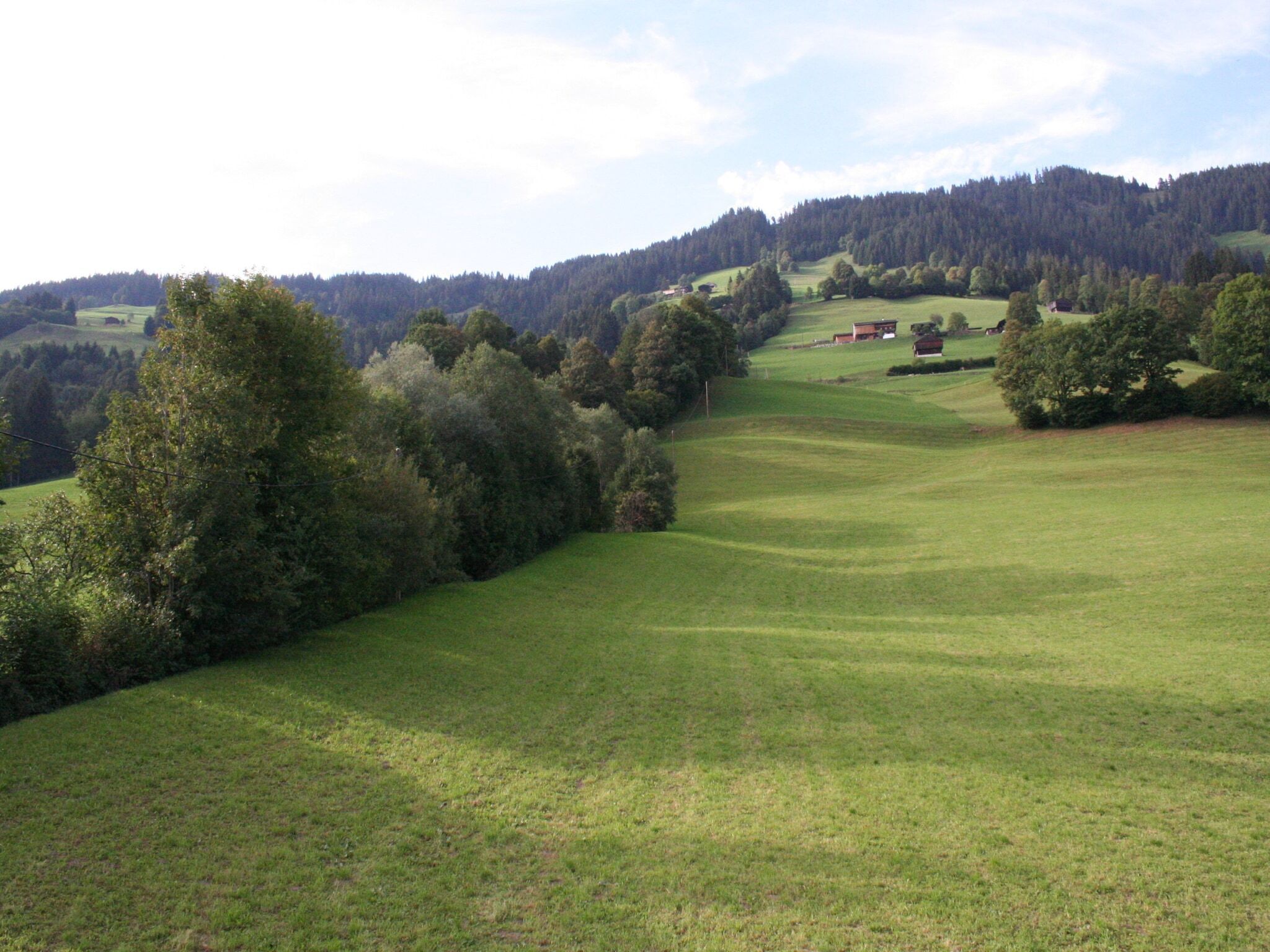 A rural landscape with rolling hills, a variety of trees, and a few buildings in the distance.