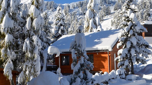 Een houten hutje omringd door met sneeuw bedekte bomen, met een helderblauwe lucht op de achtergrond.