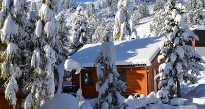 Chalet in Turracherhöhe with Ski-in/Ski-out