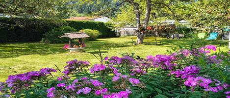 Overnatningsstedets område