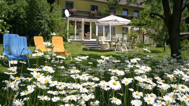 Ein Haus mit einem Garten voller Margeriten, zwei blauen und einem orangen Stuhl sowie einer Terrasse mit Tisch und Stühlen.
