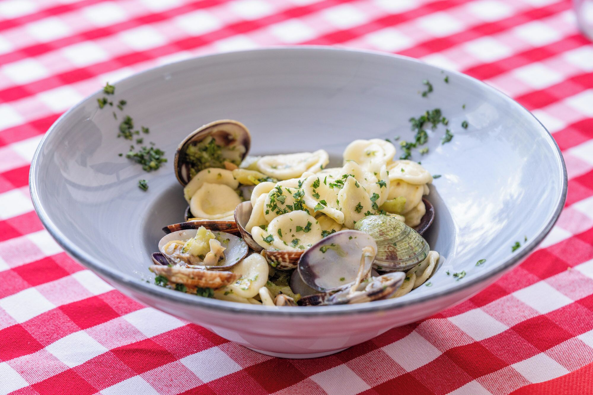 Un plato de pasta con almejas sobre un mantel a cuadros rojo y blanco.