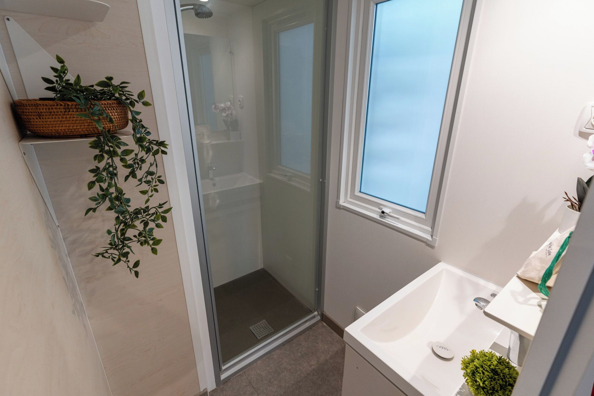 A bathroom with a glass shower enclosure, a white sink, a window, and a shelf with a plant.