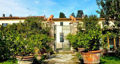 OLIVE TREES - FARMHOUSE ESTATE SAN DONATO