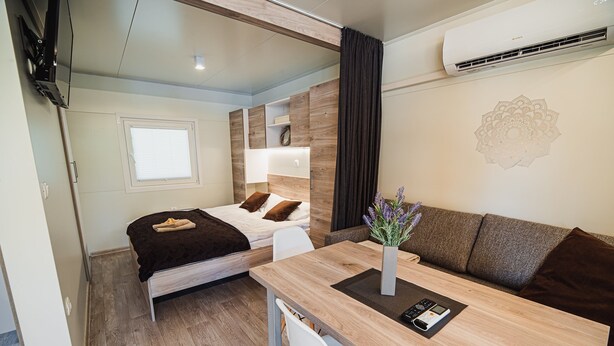 A compact room with a bed, a sofa, a small table, and a TV. - Thermal Canopy Tree House With Riviera Tickets (Brežice)