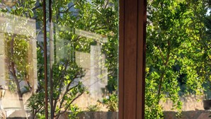 A glass door leading to a patio area with white lounge chairs and a table, a stone wall, and greenery in the background. - KAYA KORUĞU CUNDA (Ayvalik)