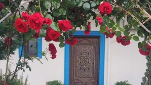 A building entrance with a wooden door, a white gate, and a rose arbor. - KAYA KORUĞU CUNDA (Ayvalik)