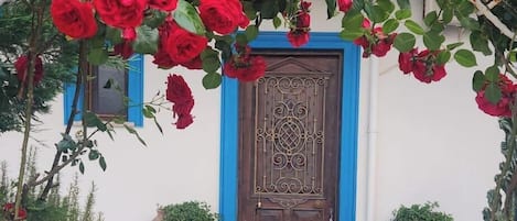 Jardín