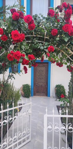 KAYA KORUĞU CUNDA