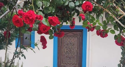 KAYA KORUĞU CUNDA